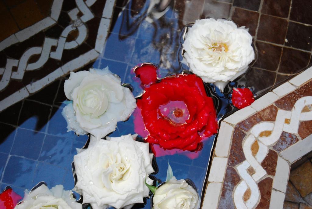 Riad Viva Marrakesh Exterior photo Roses at the fountain